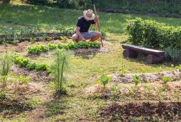 Permaculture